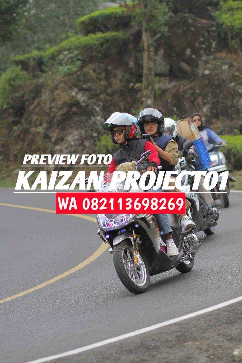NR_M8564.jpg