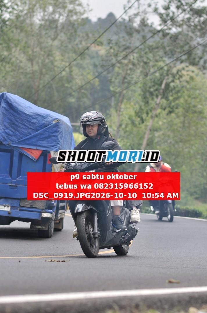 DSC_0919.JPG